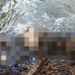 Ya se cubrió desabasto de medicamento oncológico en Torre Pediátrica de Veracruz